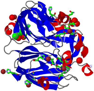 Image Asym. Unit - sites