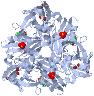 Image Biological Unit 1