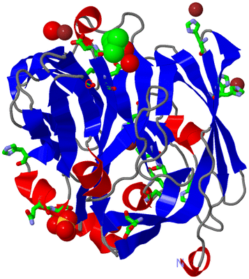 Image Asym. Unit - sites