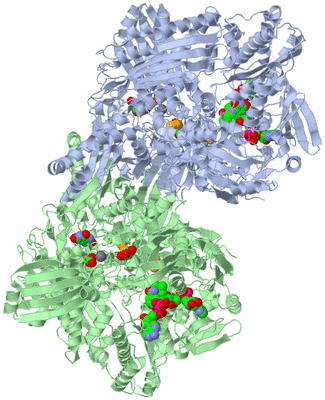 Image Asym./Biol. Unit