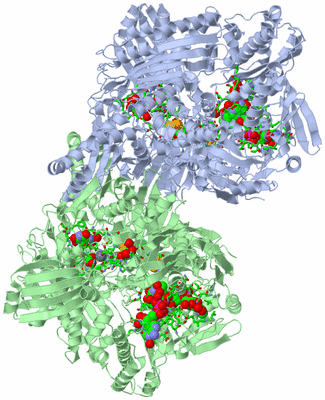 Image Asym./Biol. Unit - sites