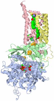 Image Biological Unit 1