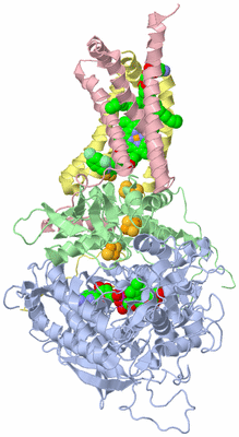 Image Biological Unit 1