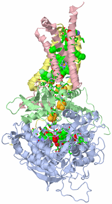 Image Biol. Unit 1 - sites