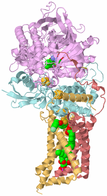 Image Biological Unit 2