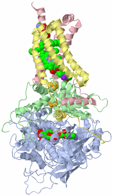 Image Biological Unit 1