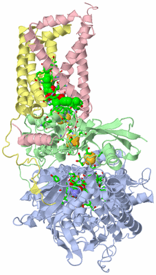 Image Biol. Unit 1 - sites