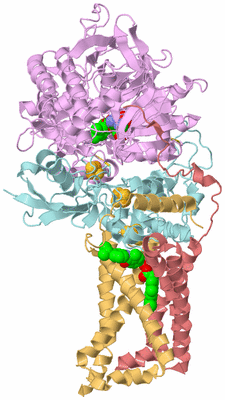 Image Biological Unit 2