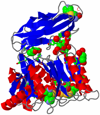 Image Asym./Biol. Unit - sites