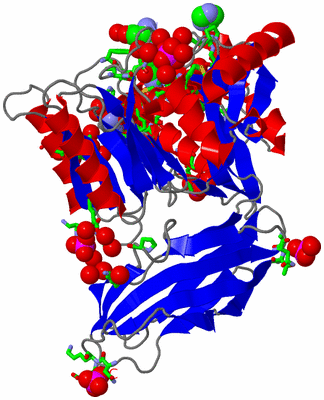 Image Asym./Biol. Unit - sites