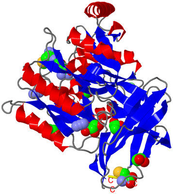 Image Asym./Biol. Unit