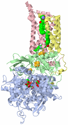 Image Biological Unit 1