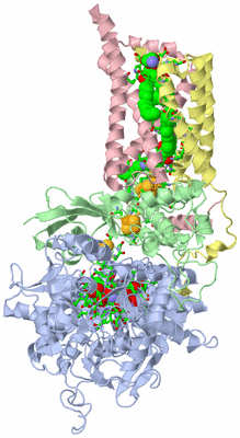 Image Biol. Unit 1 - sites