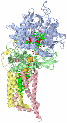 Image Biol. Unit 1 - sites