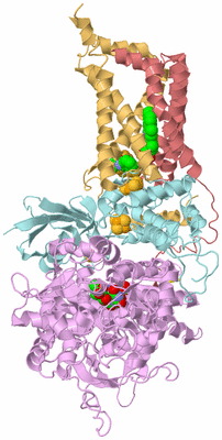 Image Biological Unit 2