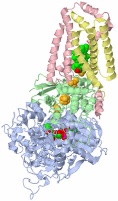 Image Asym./Biol. Unit