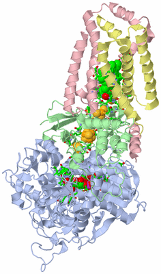 Image Asym./Biol. Unit - sites