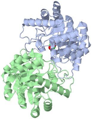 Image Biological Unit 1