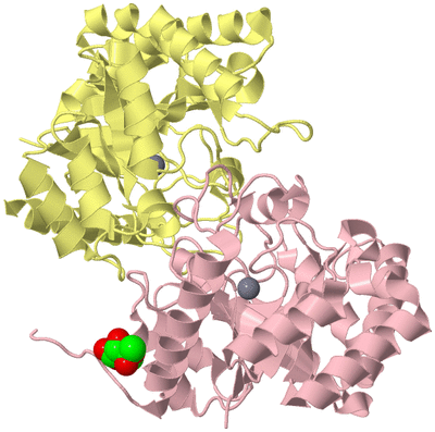 Image Biological Unit 2