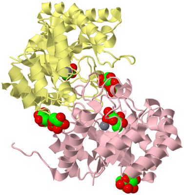 Image Biological Unit 2