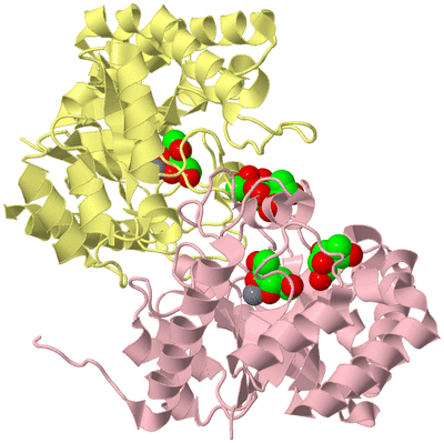 Image Biological Unit 2