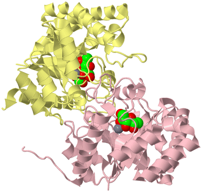 Image Biological Unit 2