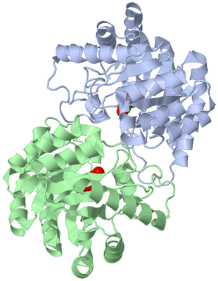 Image Biological Unit 1