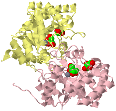 Image Biological Unit 2