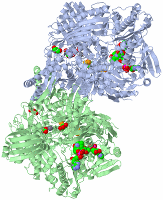 Image Asym./Biol. Unit