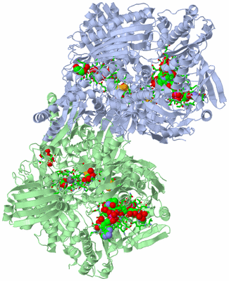 Image Asym./Biol. Unit - sites