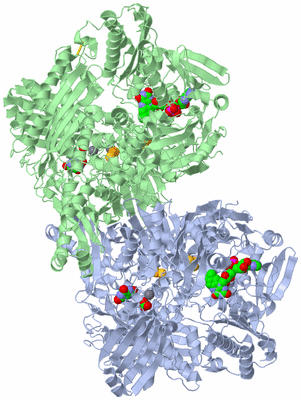 Image Asym./Biol. Unit