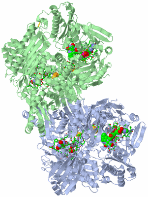 Image Asym./Biol. Unit - sites