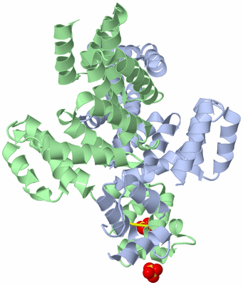 Image Biological Unit 1