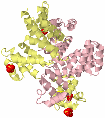 Image Biological Unit 2