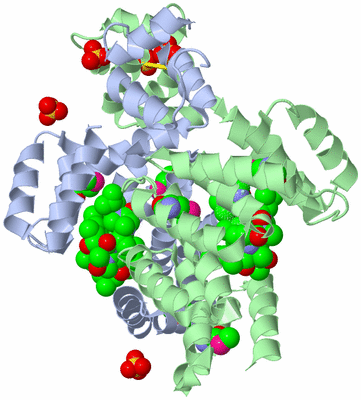 Image Biological Unit 1