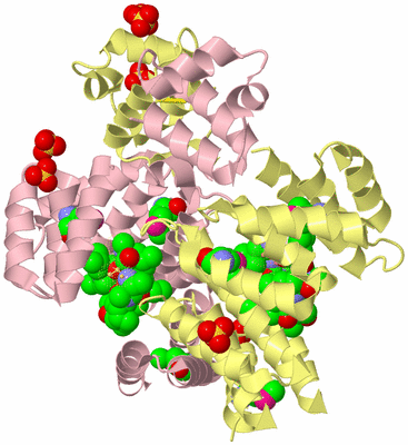 Image Biological Unit 2