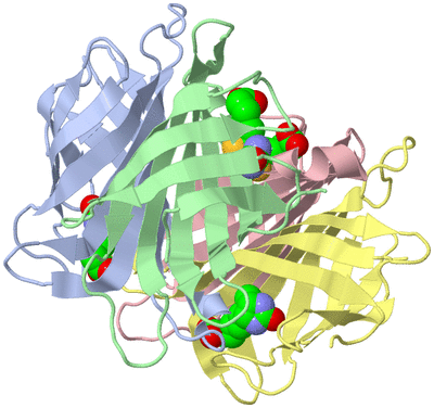 Image Asym./Biol. Unit