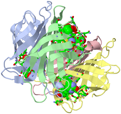 Image Asym./Biol. Unit - sites