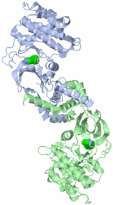 Image Asym./Biol. Unit