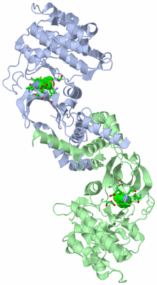 Image Asym./Biol. Unit - sites