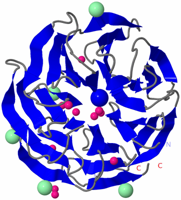 Image Asymmetric Unit