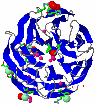 Image Asym. Unit - sites