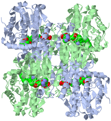 Image Biological Unit 1