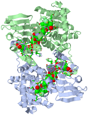 Image Asym. Unit - sites