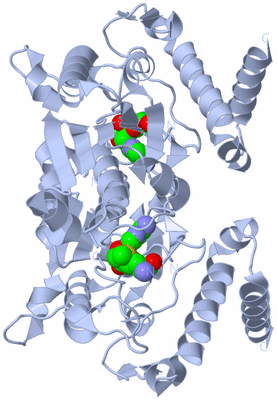 Image Biological Unit 1