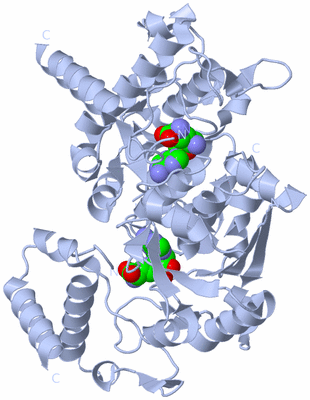 Image Biological Unit 1