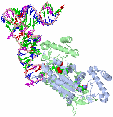 Image Asym./Biol. Unit