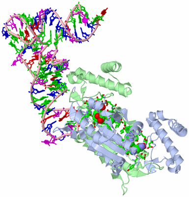 Image Asym./Biol. Unit - sites