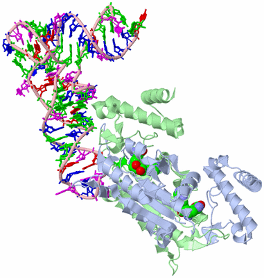 Image Asym./Biol. Unit