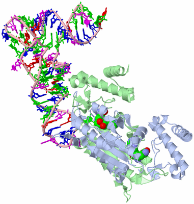 Image Asym./Biol. Unit